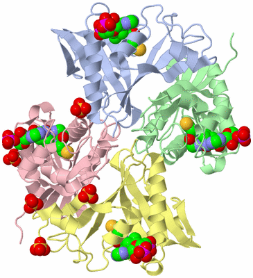 Image Biological Unit 3