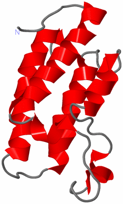 Image NMR Structure - model 1