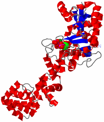 Image Asym./Biol. Unit