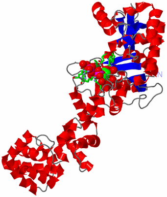 Image Asym./Biol. Unit - sites