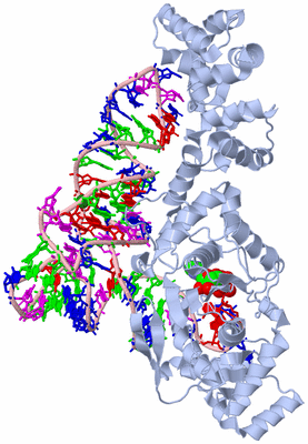 Image Biological Unit 1