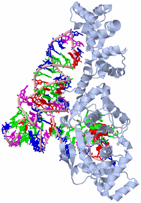 Image Biol. Unit 1 - sites