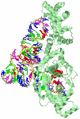 Image Biological Unit 2