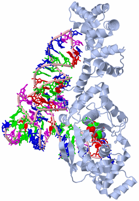 Image Biological Unit 1