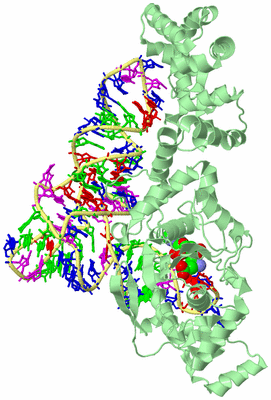 Image Biological Unit 2