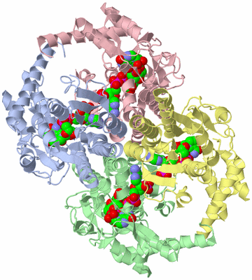 Image Asym./Biol. Unit