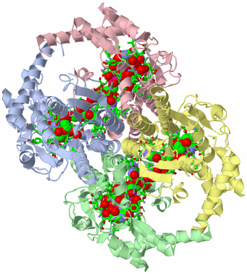 Image Asym./Biol. Unit - sites