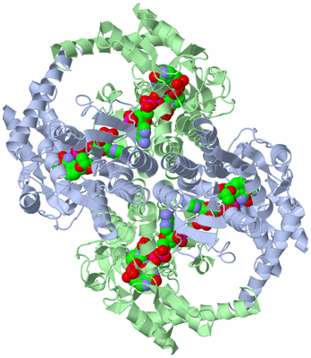 Image Biological Unit 1