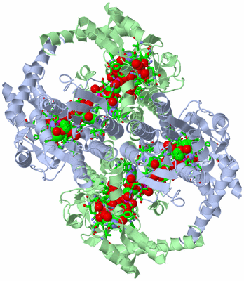 Image Biol. Unit 1 - sites