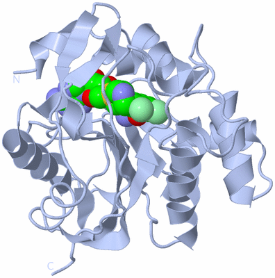 Image Biological Unit 1