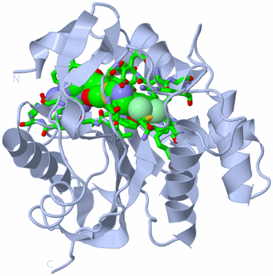 Image Biol. Unit 1 - sites