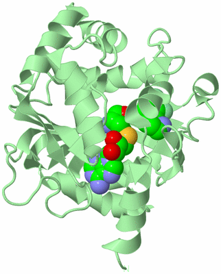 Image Biological Unit 2