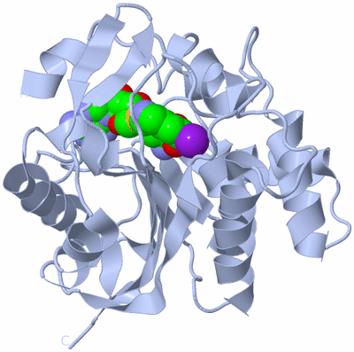 Image Biological Unit 1