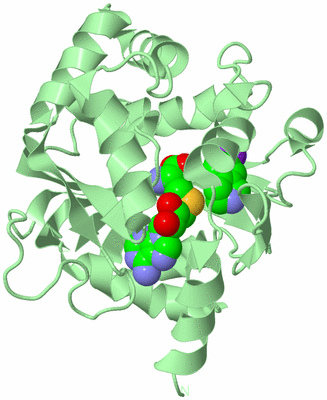 Image Biological Unit 2