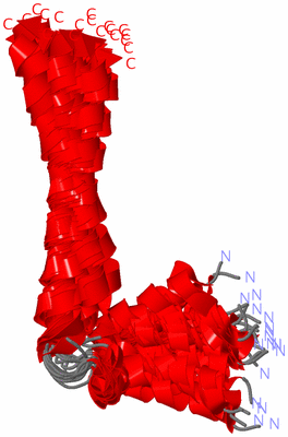 Image NMR Structure - all models