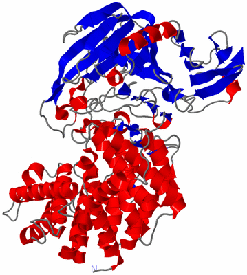 Image Asym./Biol. Unit