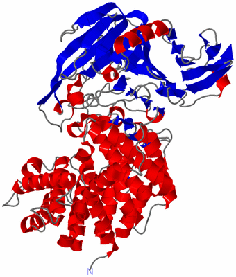 Image Asym./Biol. Unit