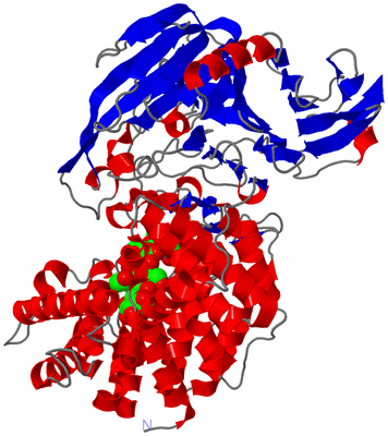 Image Asym./Biol. Unit