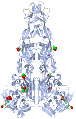 Image Biol. Unit 1 - sites