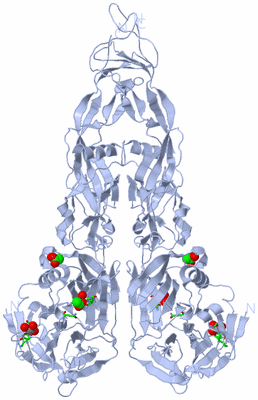 Image Biol. Unit 1 - sites