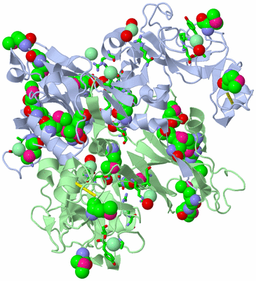 Image Biol. Unit 1 - sites