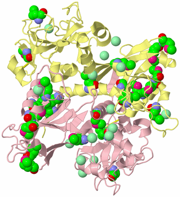 Image Biological Unit 2