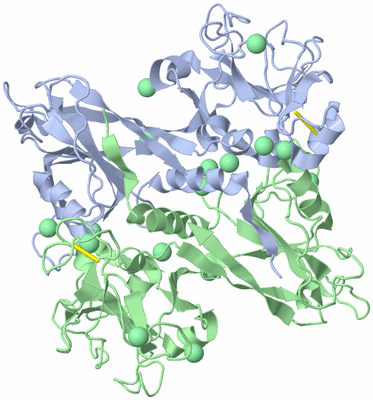 Image Biological Unit 1