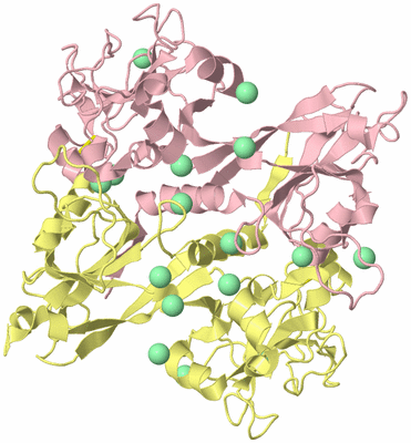 Image Biological Unit 2