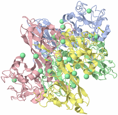 Image Biological Unit 3