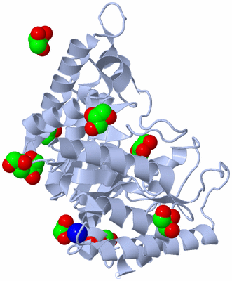 Image Biological Unit 1