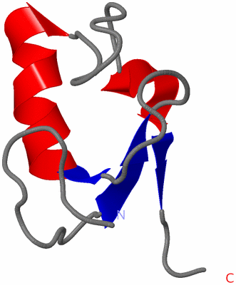 Image NMR Structure - model 1