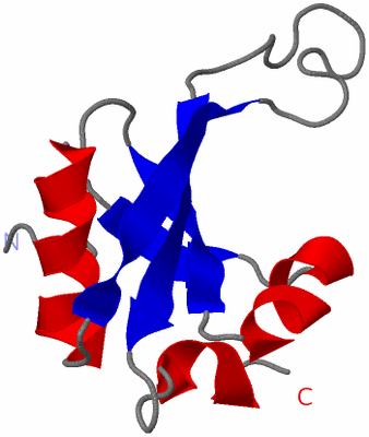 Image NMR Structure - model 1