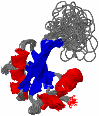 Image NMR Structure - all models