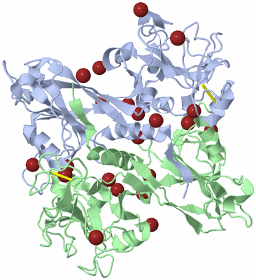 Image Biological Unit 1