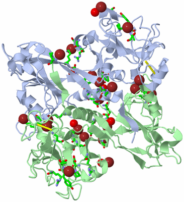 Image Biol. Unit 1 - sites