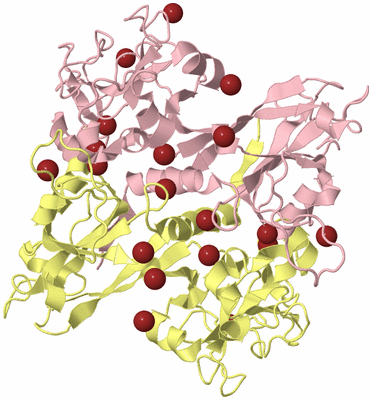 Image Biological Unit 2