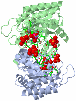 Image Biol. Unit 1 - sites