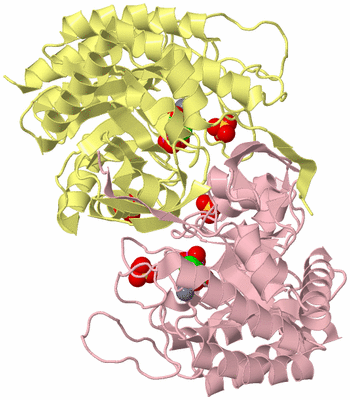 Image Biological Unit 2