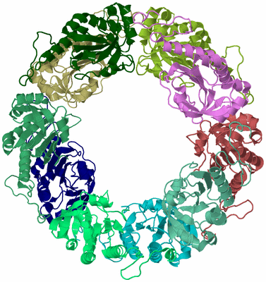 Image Biological Unit 2