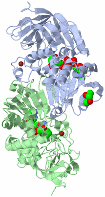 Image Asym./Biol. Unit