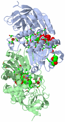 Image Asym./Biol. Unit - sites