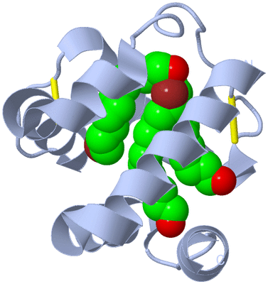 Image Biological Unit 1