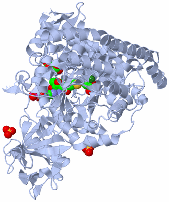 Image Biological Unit 1