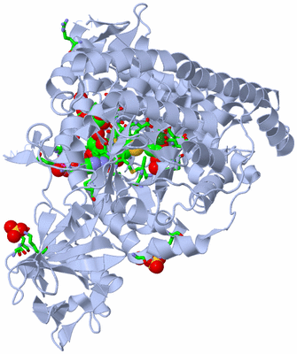 Image Biol. Unit 1 - sites