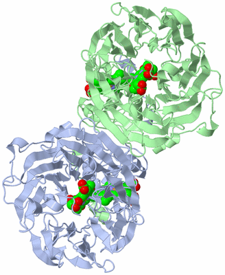 Image Asym./Biol. Unit