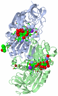 Image Asym./Biol. Unit - sites