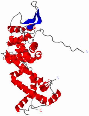 Image Asymmetric Unit