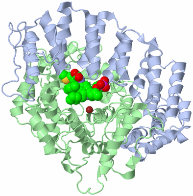 Image Asym./Biol. Unit