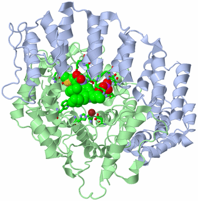 Image Asym./Biol. Unit - sites