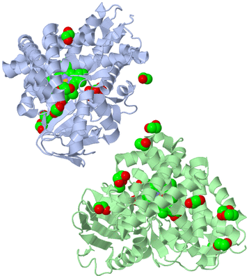 Image Asymmetric Unit